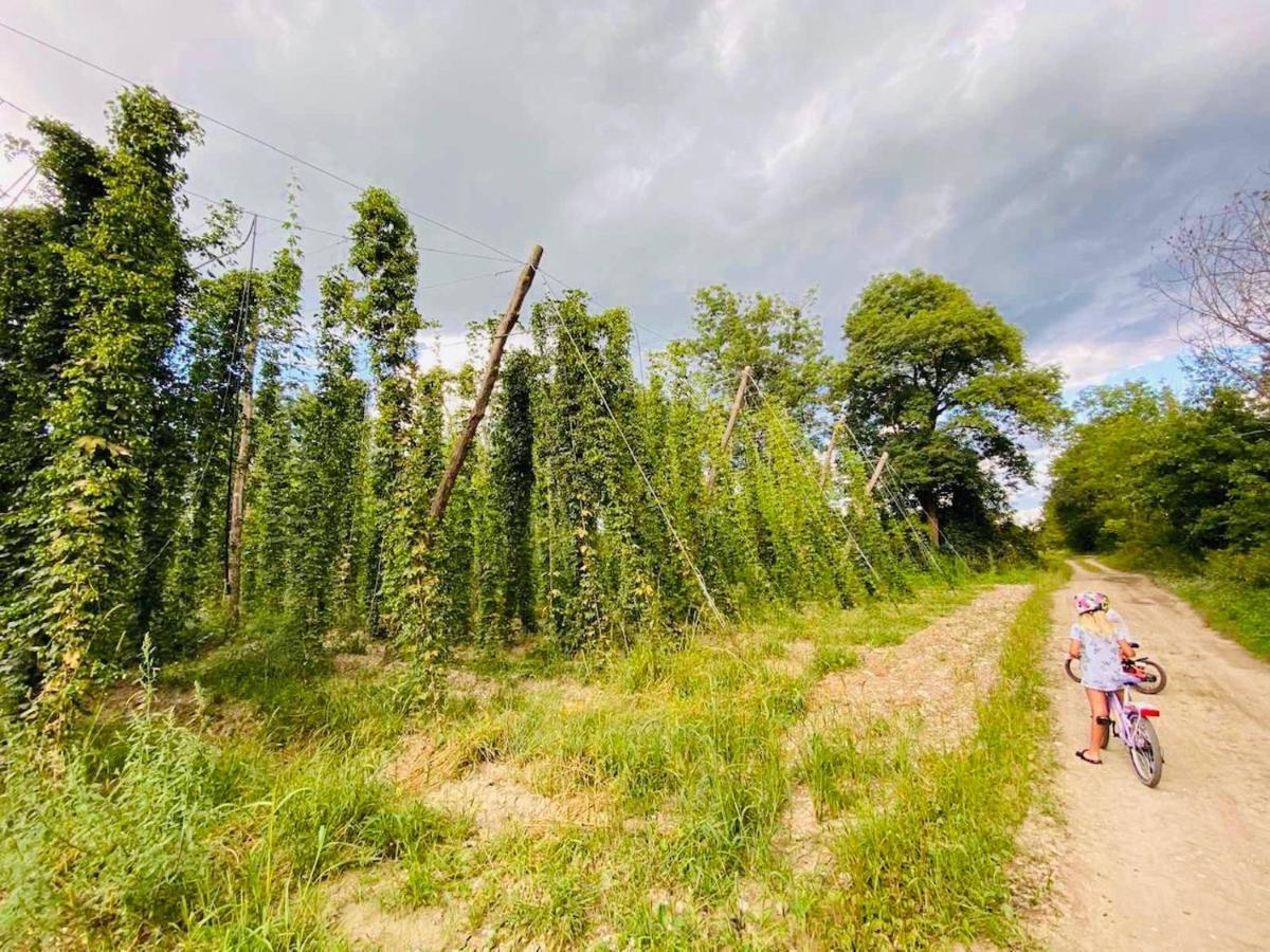 Greenvalleyglamping Sesce Pri Preboldu Bagian luar foto
